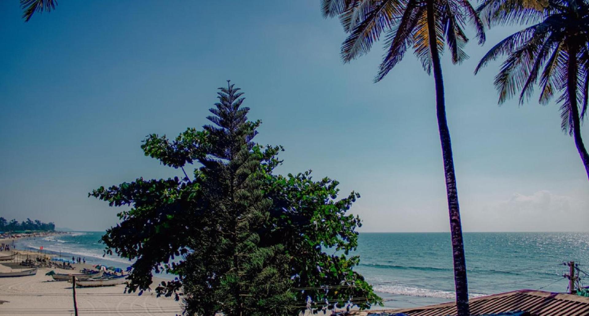 This Is It Beachfront - Rooms, Cafe & Events Arambol Exterior photo